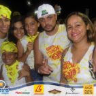 Bloco Skol Folia